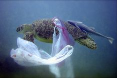 cerca de 269.000 toneladas de plastico flotan en los oceanos