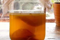 El té de kombucha es considerado una de las bebidas más saludables. Foto: Shutterstock