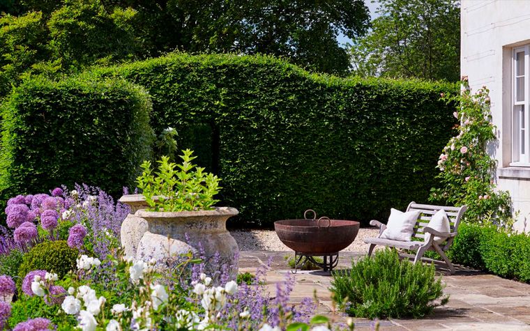 Estas plantas de bajo mantenimiento aportan textura, color y carácter, convirtiendo una necesidad en un buen diseño. Imagen:&nbsp;Future / Alicia Taylor