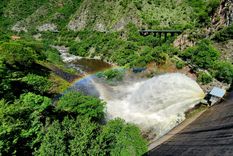 La cola de novia no se veía desde hace dos años Foto: X/@APRHI_CBA