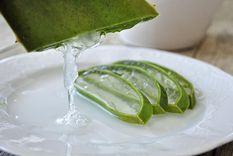 El aloe vera tiene importantes beneficios para la piel. Foto: Pixabay - pixabay.com