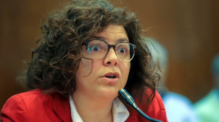 Carla Vizzotti dijo que hay mnos circulación de otros virus y que cualquier resfrío puede ser coronavirus