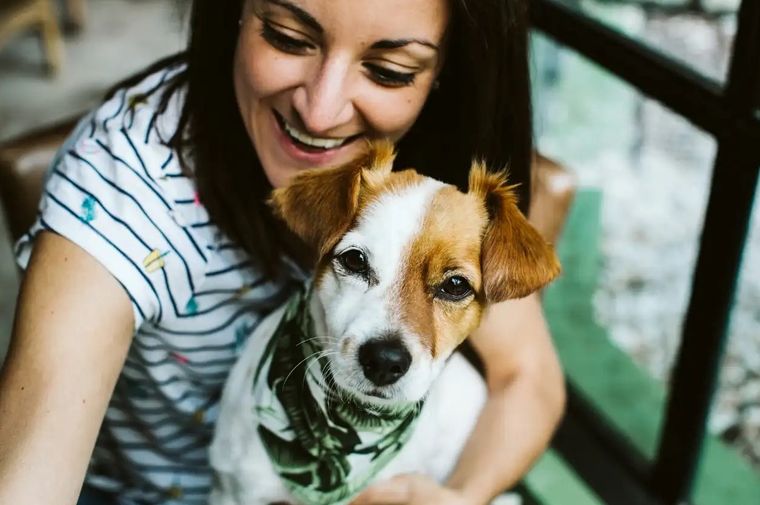 Esot fue lo que dijo la inteligencia artificial sobre las mascotas Foto: Archivo