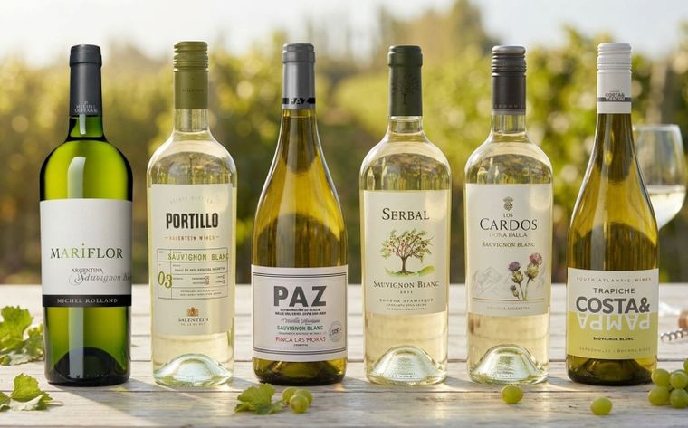 Diez ejemplares para celebrar el Sauvignon Blanc.