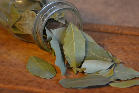 Un truco simple, natural y sin gastar de más: la hoja de laurel puede ser tu mejor aliada en la heladera.