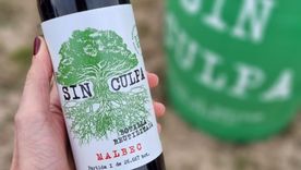 El nuevo vino pensado en el medioambiente