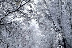 Bariloche se prepara para una gran temporada aunque con un importante aumento de costos Foto: Turismo Bariloche