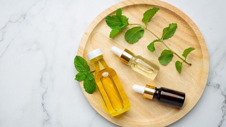 Es necesario diluir el aceite de orégano antes de consumirlo o aplicarlo sobre la piel. Foto: Archivo
