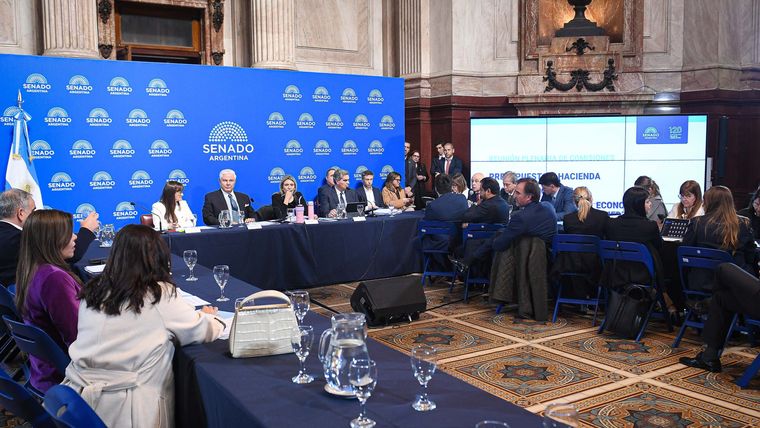 El Senado activa una agenda apretada que tiene en cuenta la reforma del BCRA, Inocencia Fiscal II y proyecto sobre reforma de Salud Mental. El Senado activa una agenda apretada que tiene en cuenta la reforma del BCRA, Inocencia Fiscal II y proyecto sobre reforma de Salud Mental.