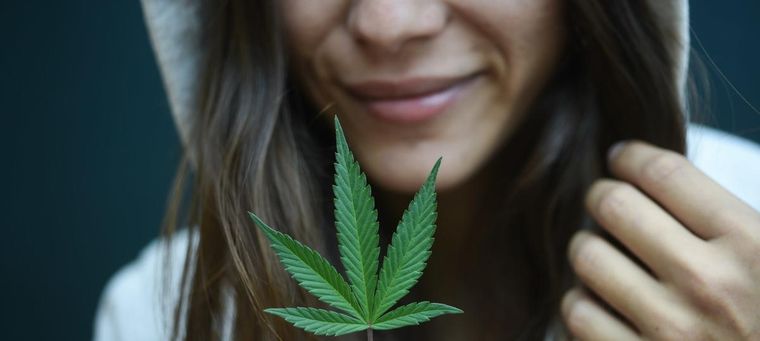 Marihuana La planta está en el centro de la polémica. Imagen ilustrativa.