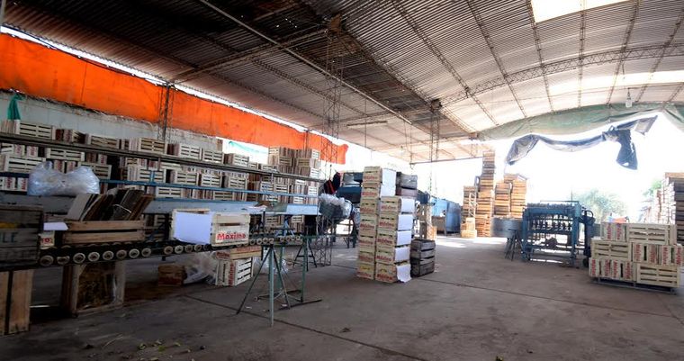 Foto: Gobierno de Mendoza