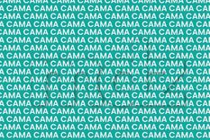 En personas mayores, este tipo de ejercicios se recomiendan como parte de rutinas preventivas para mantener activa la mente Foto: Archivo MDZ