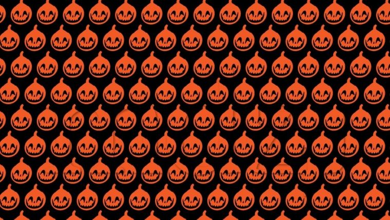 Acertijo visual, reto visual, calabazas Fuente: MDZ Online Foto: Archivo MDZ