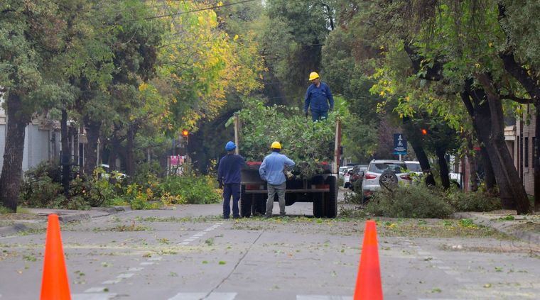 Foto: ALF PONCE MERCADO / MDZ