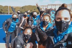 las leonas, hisopadas, encapsuladas y con nuevo destino: pinamar