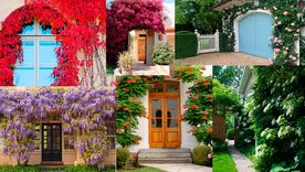 Las plantas trepadoras aportan hojas y flores que pueden transformar completamente el frente de una vivienda o inmueble. Foto: Adobe Stock y livingetc.com.