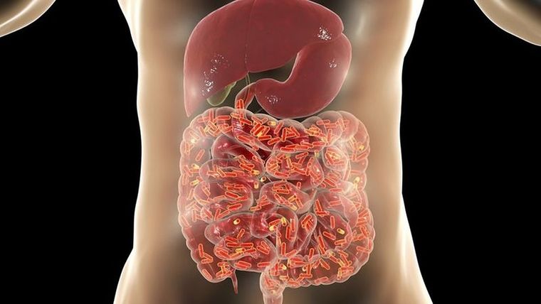 El SIBO aparece como una nueva enfermedad intestinal y se trata, en principio, con un cambio en la dieta Foto: GETTY IMAGES