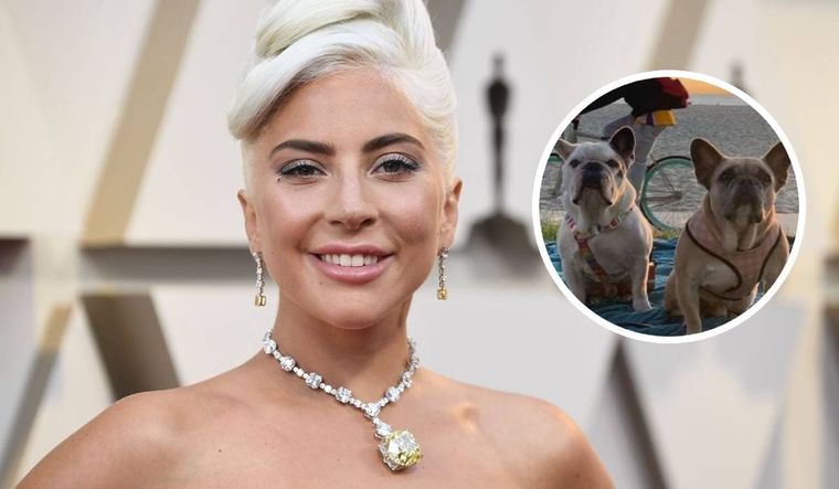 Lady Gaga mantiene una fuerte disputa con la mujer que le devolvió sus bulldogs franceses.