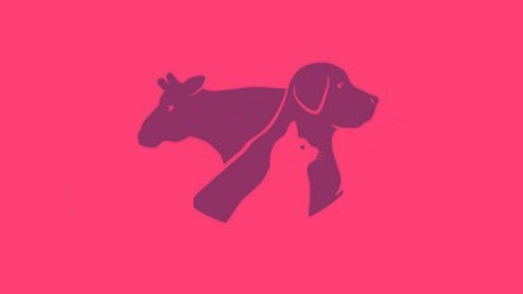 Test de personalidad