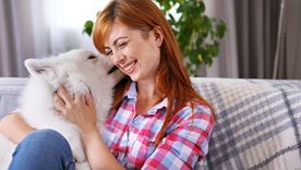 Si crees que sos la persona favorita de tu perro, leé esta nota para estar seguro Foto: Shutterstock