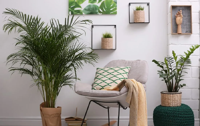 Las plantas ayudan a sumar un toque de color y de vitalidad a cualquier espacio de tu casa. Foto: Unsplash
