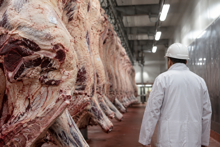 La carne argentina atraviesa un momento de oportunidades en los mercados internacionales.