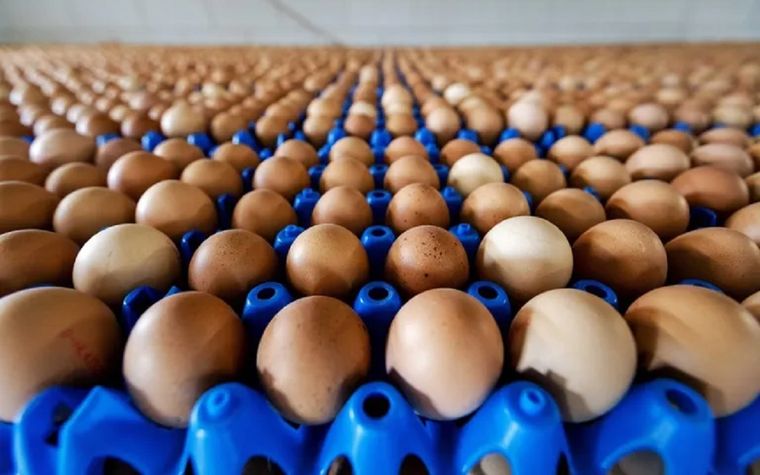 En Argentina cada año se consumen más huevos Foto: EFE