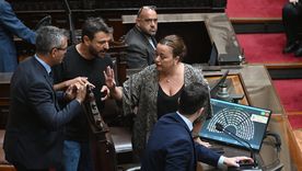 Micrófonos desenchufados, dudas por las votaciones y más susto laboral: el resumen de una ley llena de interrogantes Micrófonos desenchufados, dudas por las votaciones y más susto laboral: el resumen de una ley llena de interrogantes