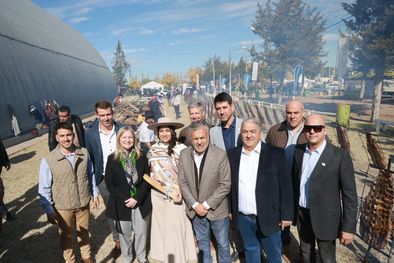 MDZol | 1593396.jpeg