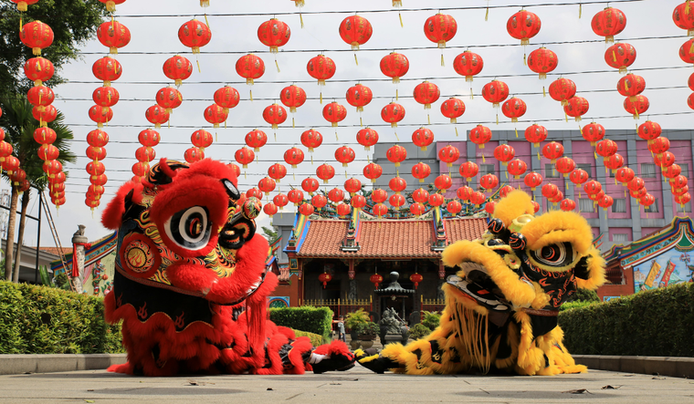 El Año del Caballo se presenta, así, como un ciclo marcado por el movimiento y la acción, ideal para quienes estén dispuestos a avanzar con determinación, pero también con conciencia y equilibrio.