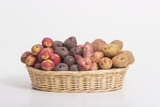 Patatas Foto: Shutterstock