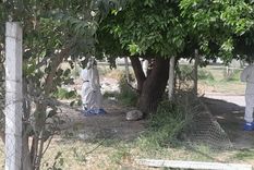 El hallazgo ocurrió en la esquina de Pellegrini y Lavaisse, San Miguel de Tucumán.