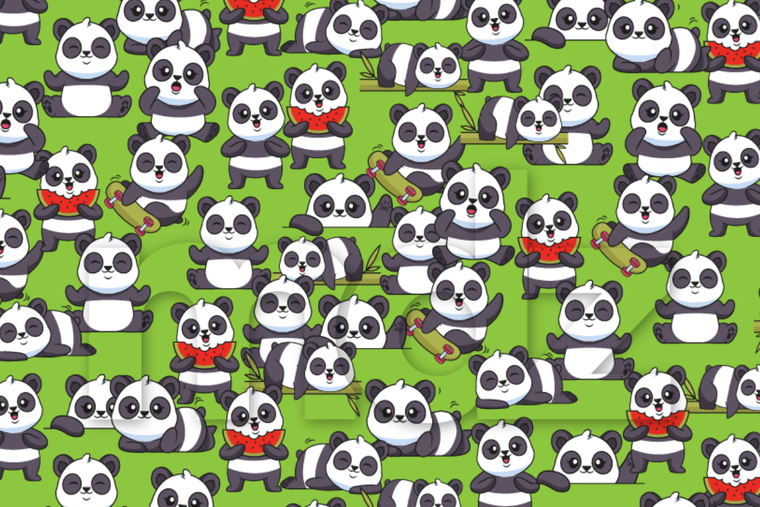 ACERTIJO VISUAL ACERTIJO VISUAL, RETO VISUAL, GATO Foto: MDZ ONLINE