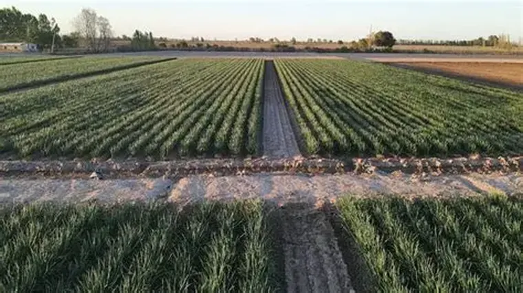 El financiamiento aparece como la principal traba para inversiones de este tipo. El financiamiento aparece como la principal traba para inversiones de este tipo.