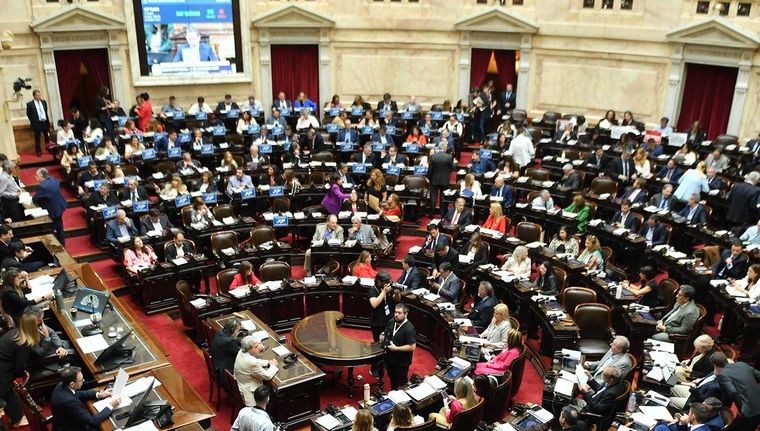 Se define la suerte del veto de Milei en Diputados Foto: NA