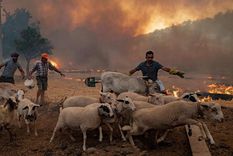Al mismo tiempo, hay una fuerte ola de calor en Europa. Foto: Dw. Al mismo tiempo, hay una fuerte ola de calor en Europa. Foto: Dw.