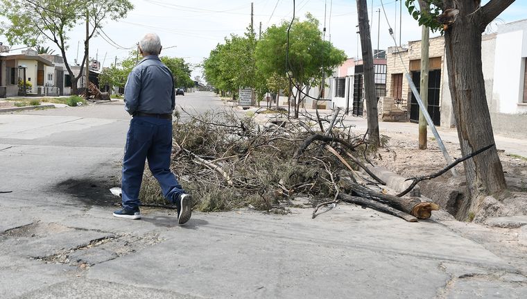 El Zonda bajó al llano varias veces en las últimas dos semanas Foto: ALF PONCE MERCADO / MDZ