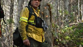 El Gobierno decretó la emergencia ígnea ante los incendios forestales en la Patagonia.