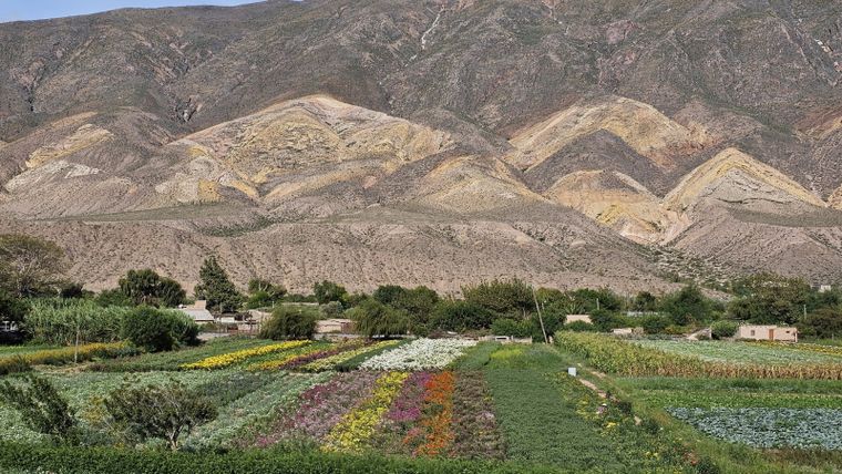 Paisajes sagrados y cultura viva: así es Maimará, en plena Quebrada de Humahuaca. Foto: Gobierno Argentino