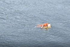 El rescate ocurrió en el sur de Brasil, después de que la embarcación del hombre naufragará el lunes por la noche. El rescate ocurrió en el sur de Brasil, después de que la embarcación del hombre naufragará el lunes por la noche.