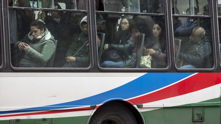 colectivos micros trasporte publico