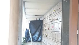 El pabellón en el que trabajaron los especialistas Foto: Gentileza Matías Pascualetti