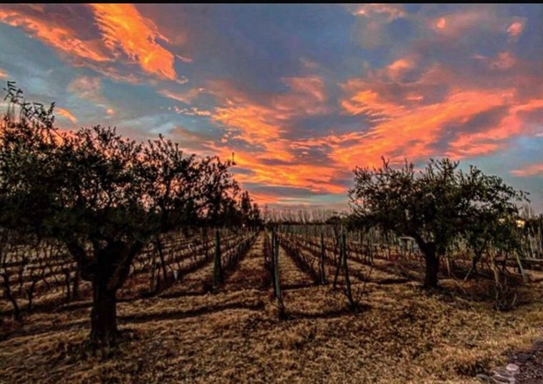 Foto de @alevigilmalbec Foto de @alevigilmalbec