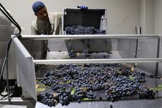 Foto: Maximiliano Ríos/MDZ