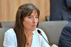 Pamela Verasay votó a favor del financiamiento universitario, aún cuando es aliada de Milei.&nbsp;
