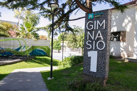 El programa se desarrollará en el Gimnasio Municipal Nº 1. El programa se desarrollará en el Gimnasio Municipal Nº 1.