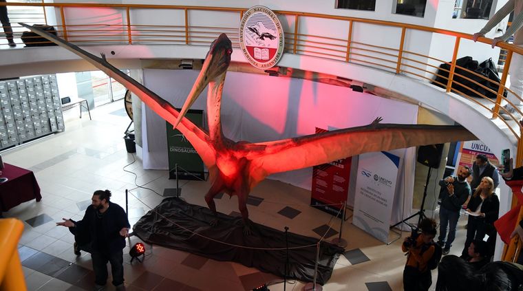 Foto: ALF PONCE MERCADO / MDZ