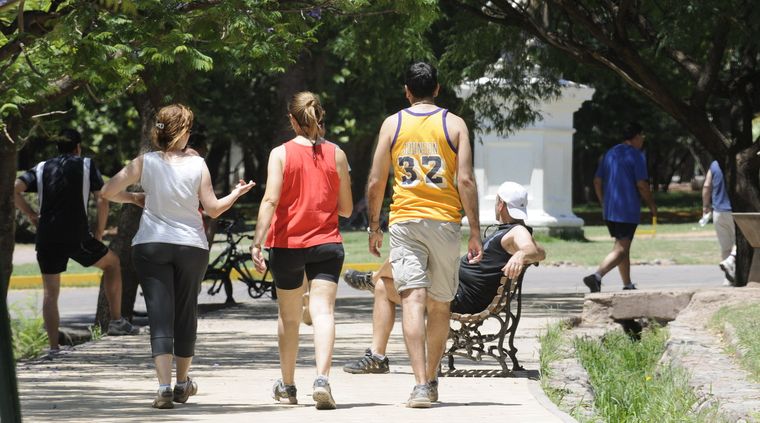 Foto: Alf Ponce / MDZ