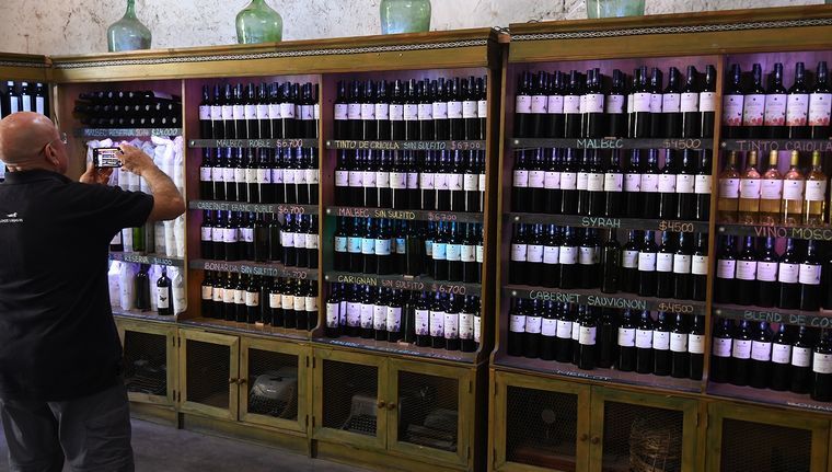 El mercado mundial muta y avanza con nuevas demandas, mientras la vitivinicultura argentina busca adaptarse. Foto: ALF PONCE MERCADO / MDZ