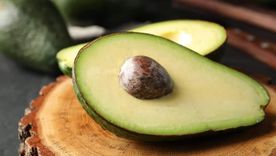 En simples pasos, podrás tener un árbol de palta en el jardín de casa. En simples pasos, podrás tener un árbol de palta en el jardín de casa.